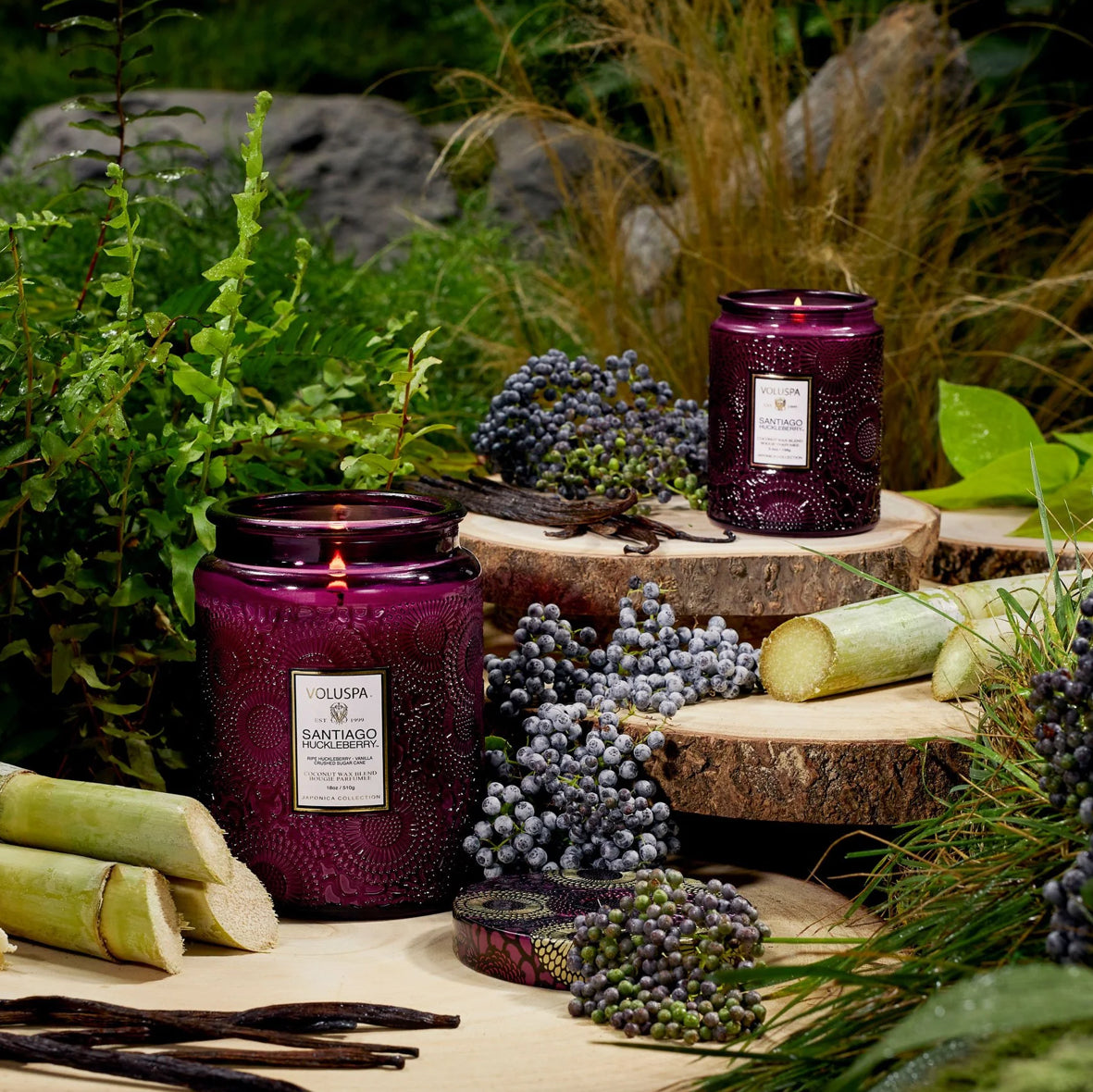 Santiago Huckleberry