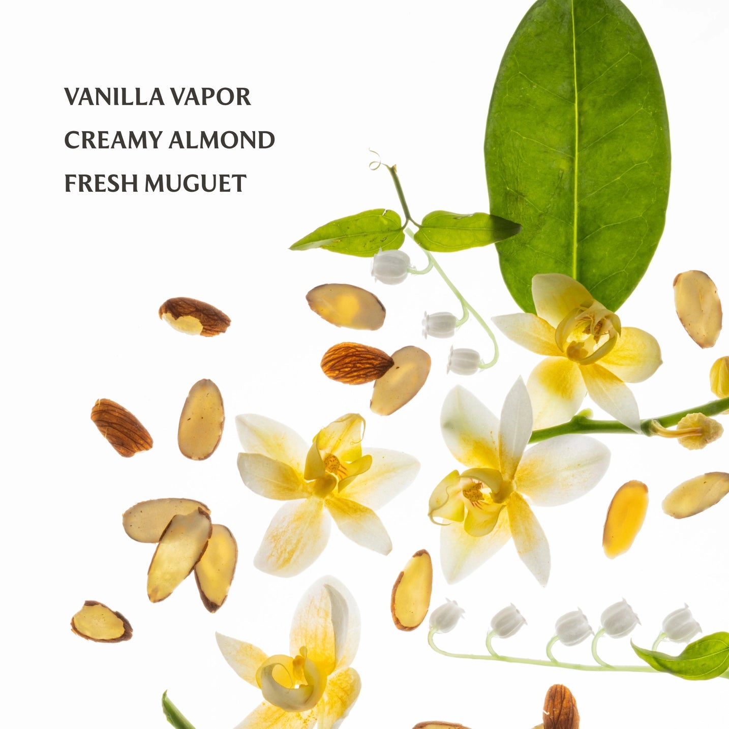 Vanilla Velvet Body/Hair Fragrance